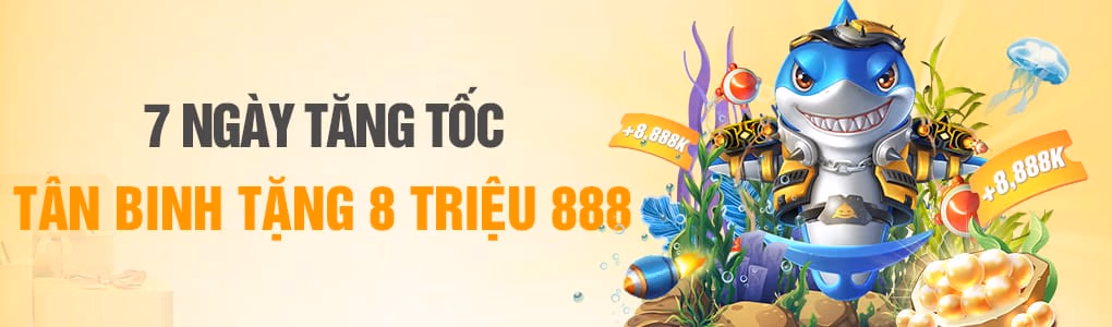 code 888top333 